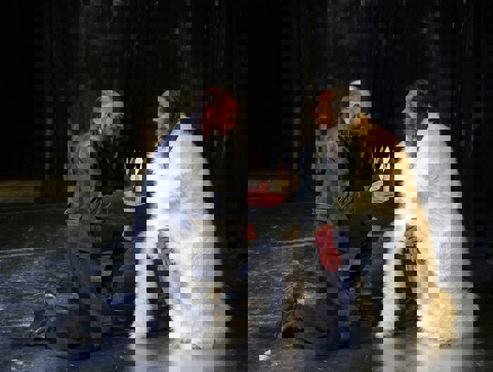 Vojtěch Lipina, Michal Čapka